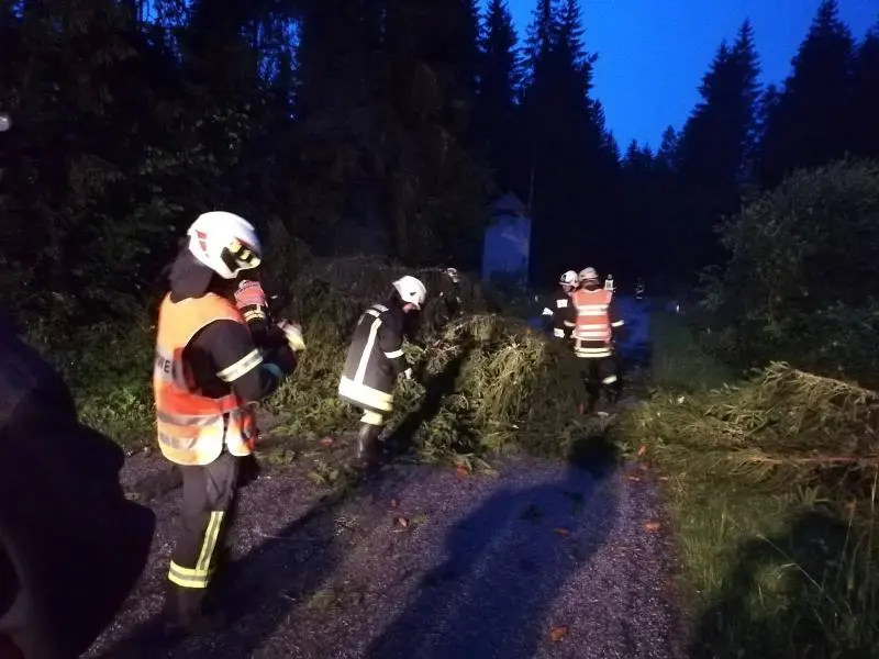 Sturmschaden