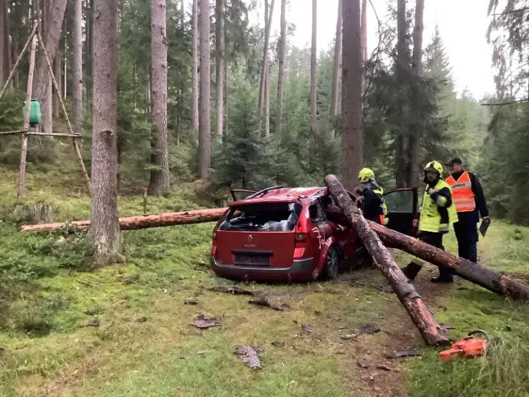Gesamtübung in Langfeld