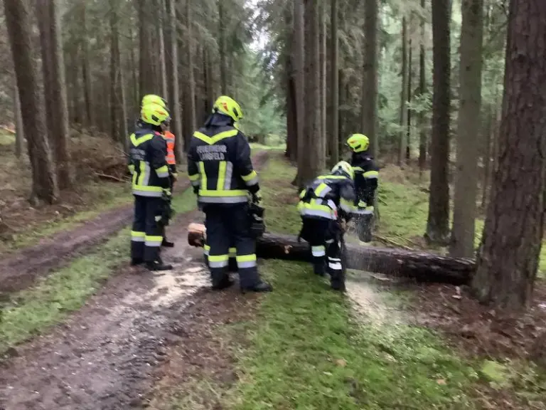 Gesamtübung in Langfeld