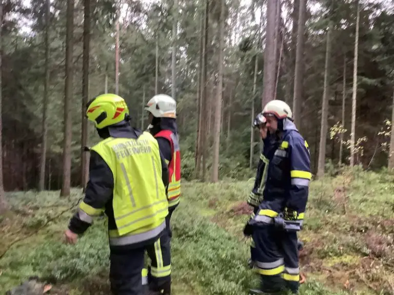 Gesamtübung in Langfeld