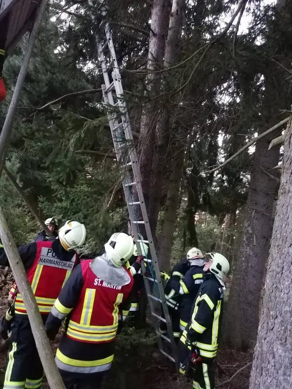 Gesamtübung in Langfeld
