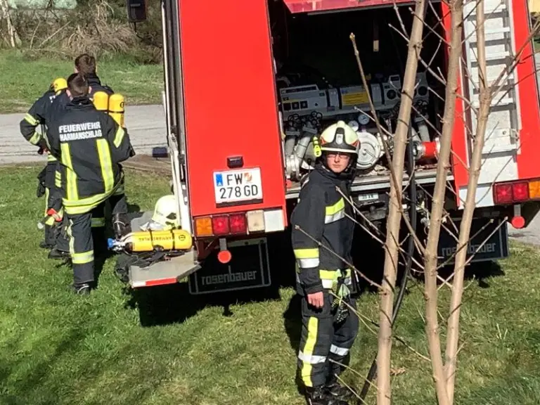 Gesamtübung in St. Martin
