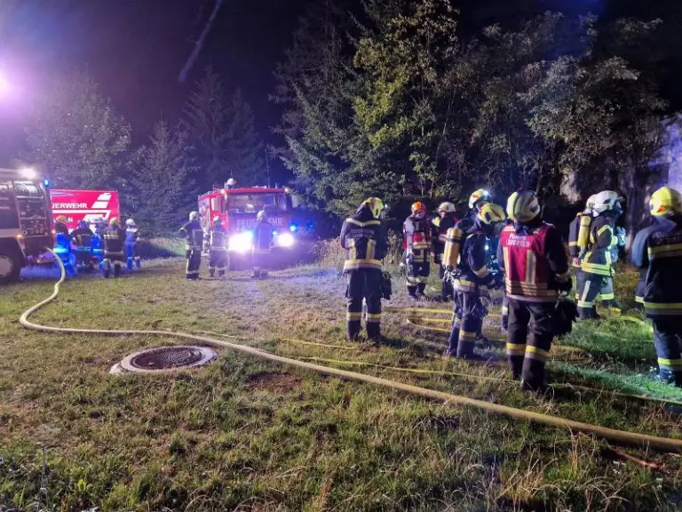 B2 - BMA - Brand