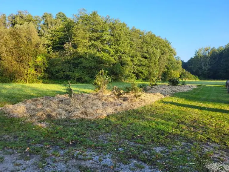 Modul WFBB-G in Kleedorf