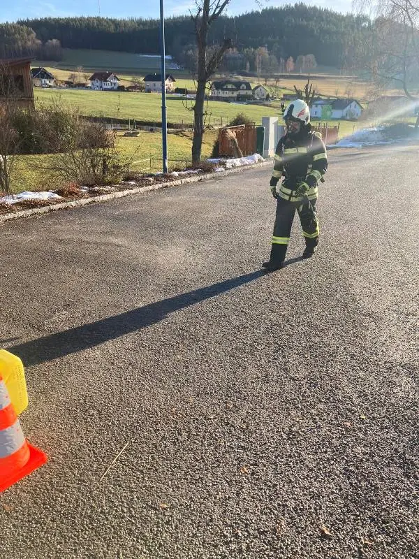 Jährlicher Leistungstest - Finnentest