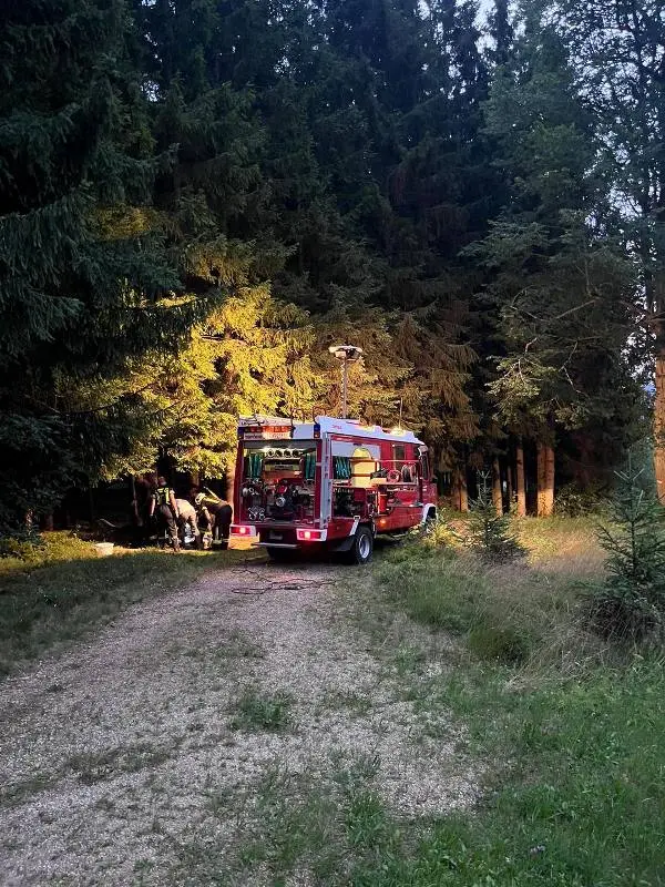 T1 - Wassergebrechen
