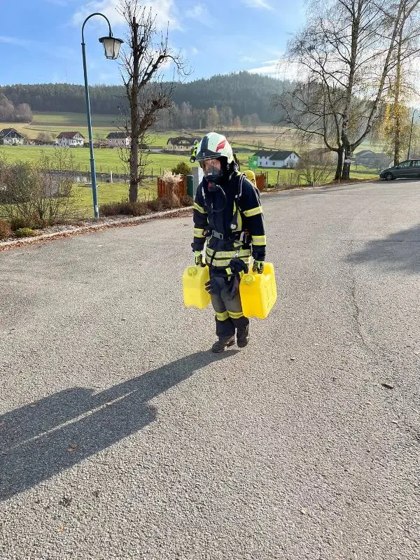 Jährlicher Leistungstest - Finnentest
