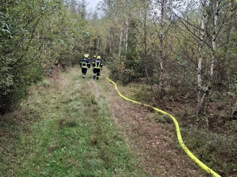 Modul Wald- und Flurbrandbekämpfung - Grundlagen